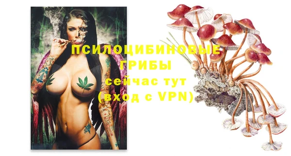 кокс Липки