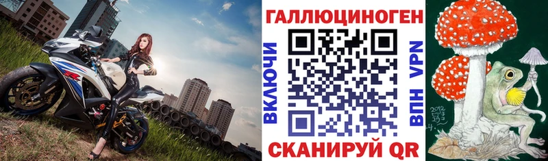 Галлюциногенные грибы Psilocybe  кракен ССЫЛКА  Ковдор  купить наркотики цена 